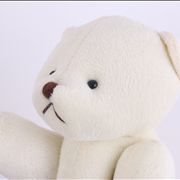 White Teddy Bear